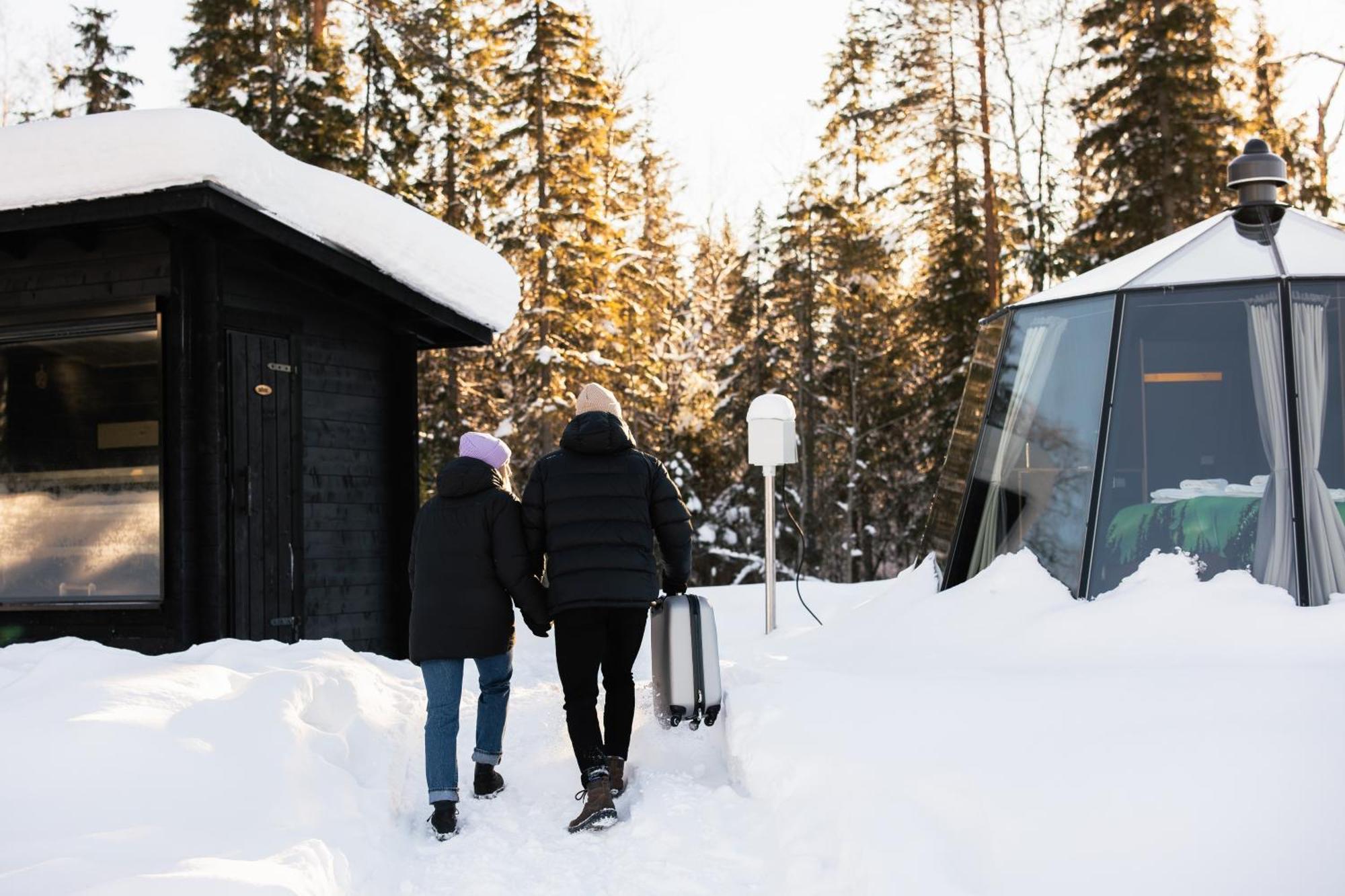 Aurora Hut